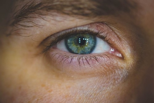 human eye